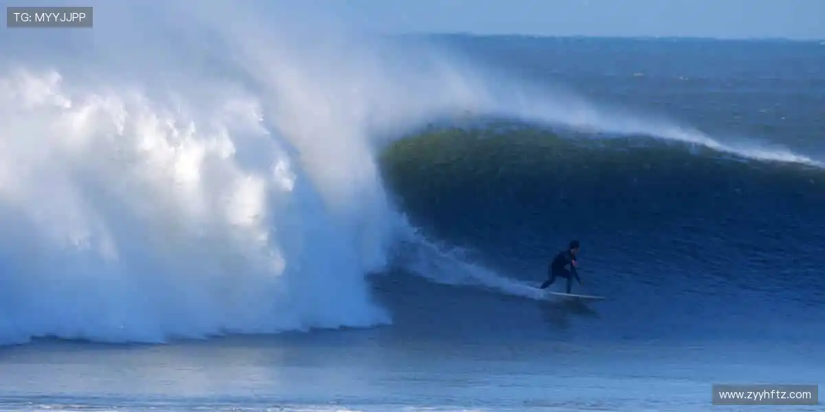 收藏你的荣耀时刻！🏆